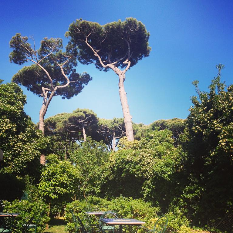 Il Miraggio Hotel Fregenae Bagian luar foto
